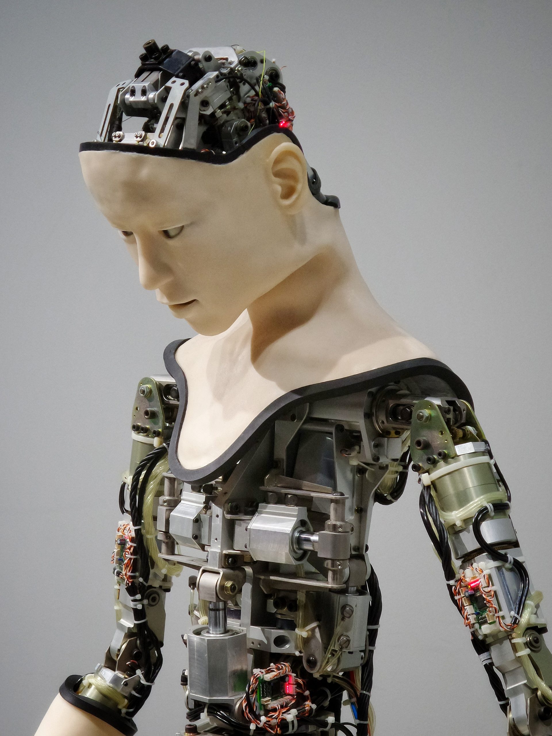 Robots Humanoides, la tendencia de la Inteligencia Artificial que